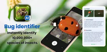 Picture insect: Bug identifier
