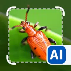 Picture insect: Bug identifier XAPK download