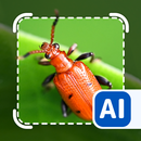 Picture insect: Bug identifier APK
