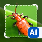 Picture insect: Bug identifier icône