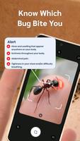 Picture insect: Bug identifier capture d'écran 3