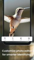 Bird identification: Picture b screenshot 2