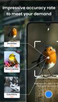 Bird identification: Picture b скриншот 3