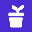 Kueski APK