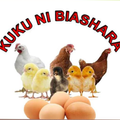 ”Ufugaji wa Kuku Kitaalamu