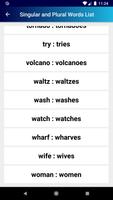 Singular and Plural Words List captura de pantalla 3