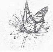 Flower Sketch Beautiful (Let's Draw Flowers) capture d'écran 2