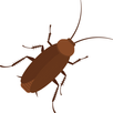 Cockroaches crush APK