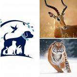 Animals  Information icon