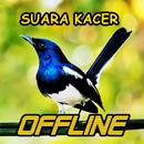 Suara Burung Kacer Lengkap MP3 Offline APK