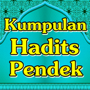 Kumpulan Hadits Pendek Terleng APK