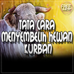 Tara Cara Menyembelih Hewan Qurban Yang Sah