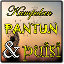 Kumpulan Pantun Dan Puisi Leng APK