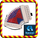 Real Accordion APK