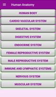 Human Anatomy 海報