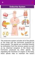 Human Anatomy 截圖 3