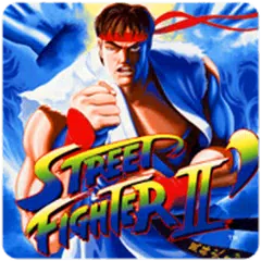 king fu fighter & Kung Fu Game APK download