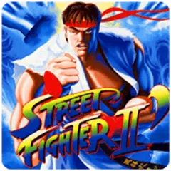 king fu fighter &amp; Kung Fu Game