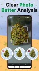 Kush Scan: Cannabis Strains ID アプリダウンロード
