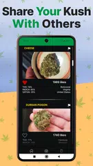Kush Scan: Cannabis Strains ID アプリダウンロード