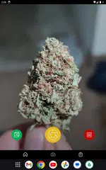 Baixar Kush Scan: thc weed identifier XAPK