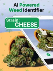 Kush Scan: Cannabis Strains ID アプリダウンロード