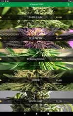 Baixar Kush Scan: thc weed identifier XAPK