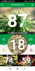 Baixar Kush Scan: thc weed identifier XAPK