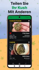 Kush Scan: thc weed identifier XAPK Herunterladen