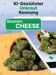 Kush Scan: thc weed identifier XAPK Herunterladen