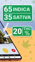 Kush Scan: thc weed identifier XAPK Herunterladen