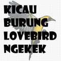 KICAU BURUNG LOVEBIRD NGEKEK