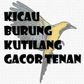 KICAU BURUNG KUTILANG GACOR TENAN