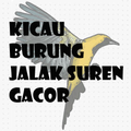 KICAU BURUNG JALAK SUREN GACOR