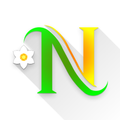 Nergzin