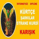 KÜRTÇE ŞARKI-DEPOSU-178-SEVİLEN ŞARKI-İNTERNETSİZ APK