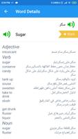 Arabic Dictionary screenshot 2