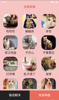2 Schermata Human Cat translator 人猫翻译器 猫语翻译-猫语翻译器人猫交流器
