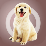 Human dog translator 人狗交流器狗语翻译 遛狗神器 人狗翻译器