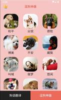 Human dog translator&Dog translation 人狗交流器&狗语翻译 اسکرین شاٹ 1