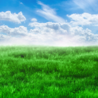 Nature Wallpapers icon
