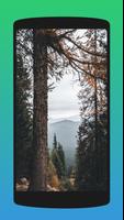 Nature Wallpapers poster