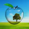 PiP 카메라 콜라주 메이커 APK