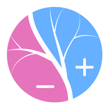 Сосудистый Калькулятор Куликов