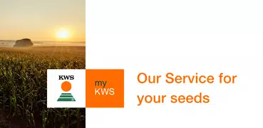 myKWS