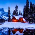 Winter Scenes icon