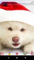 Puppy Dog Images پوسٹر