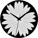 APK Floral Watch Face by KYB