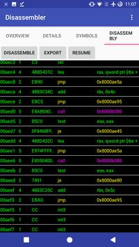 Disassembler 截图 3