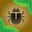 Bug Smasher ícone